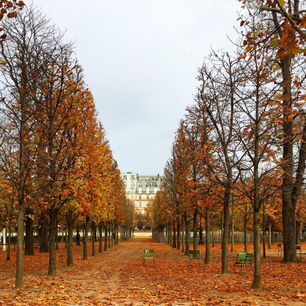 Paris Tuileries autumn