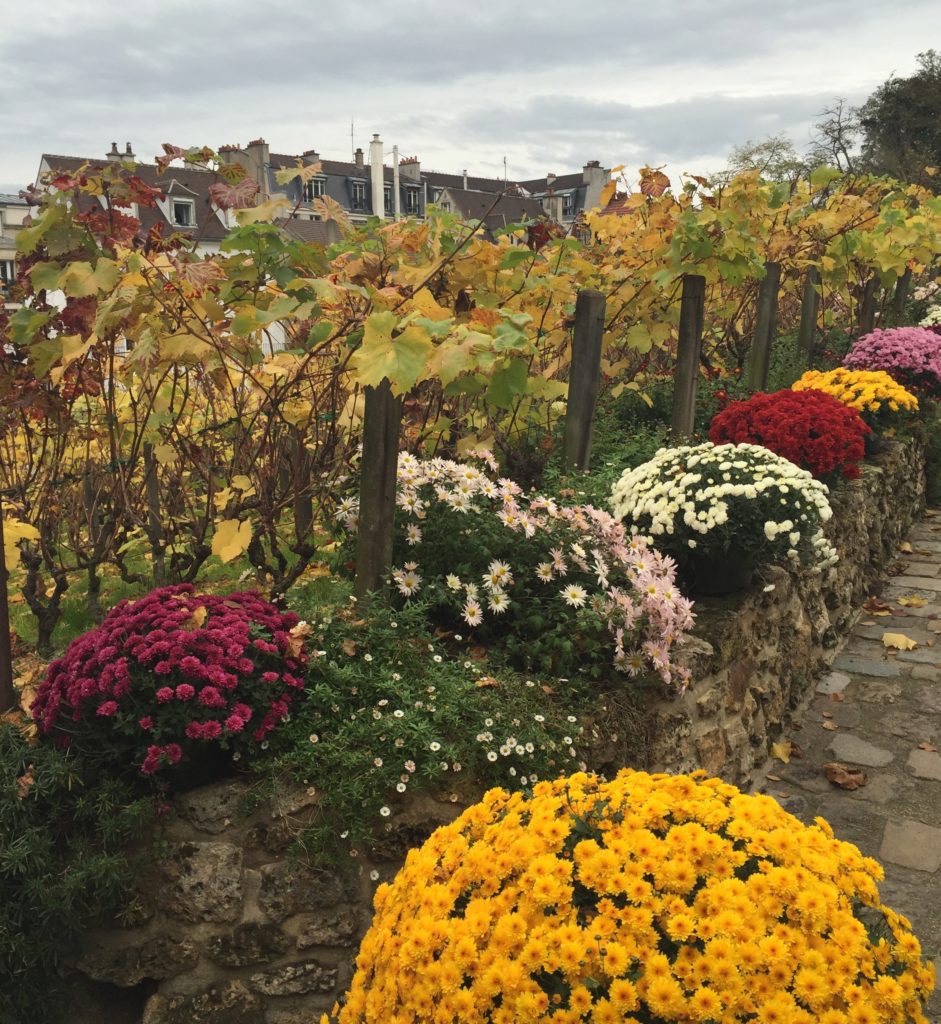 Montmartre autumn