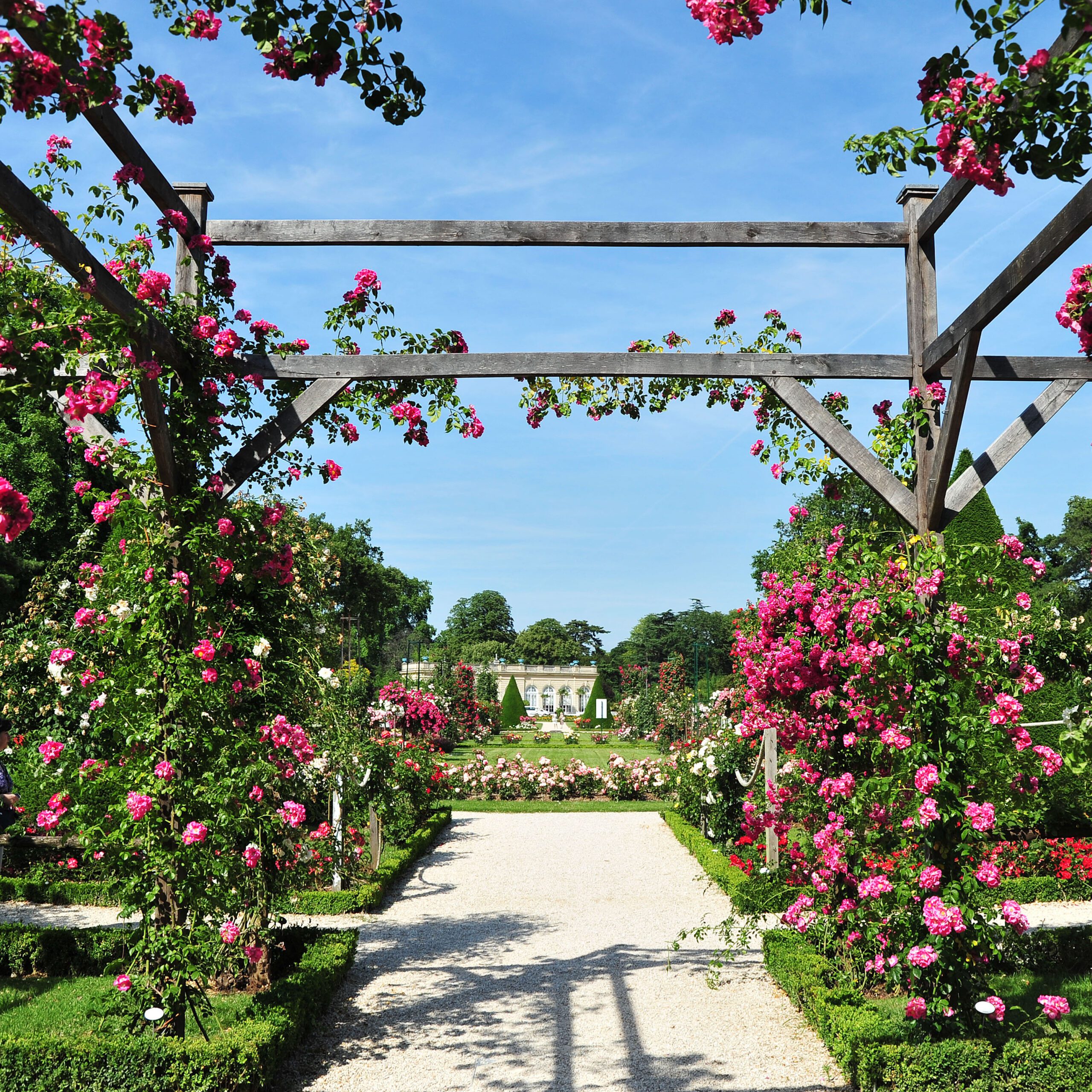 Bois de Boulogne, Parc de Bagatelle, rose garden and orangery. Bagatelle Parc, Paris, France.
