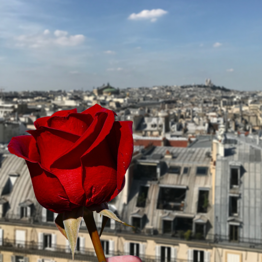 Rose-Paris-View