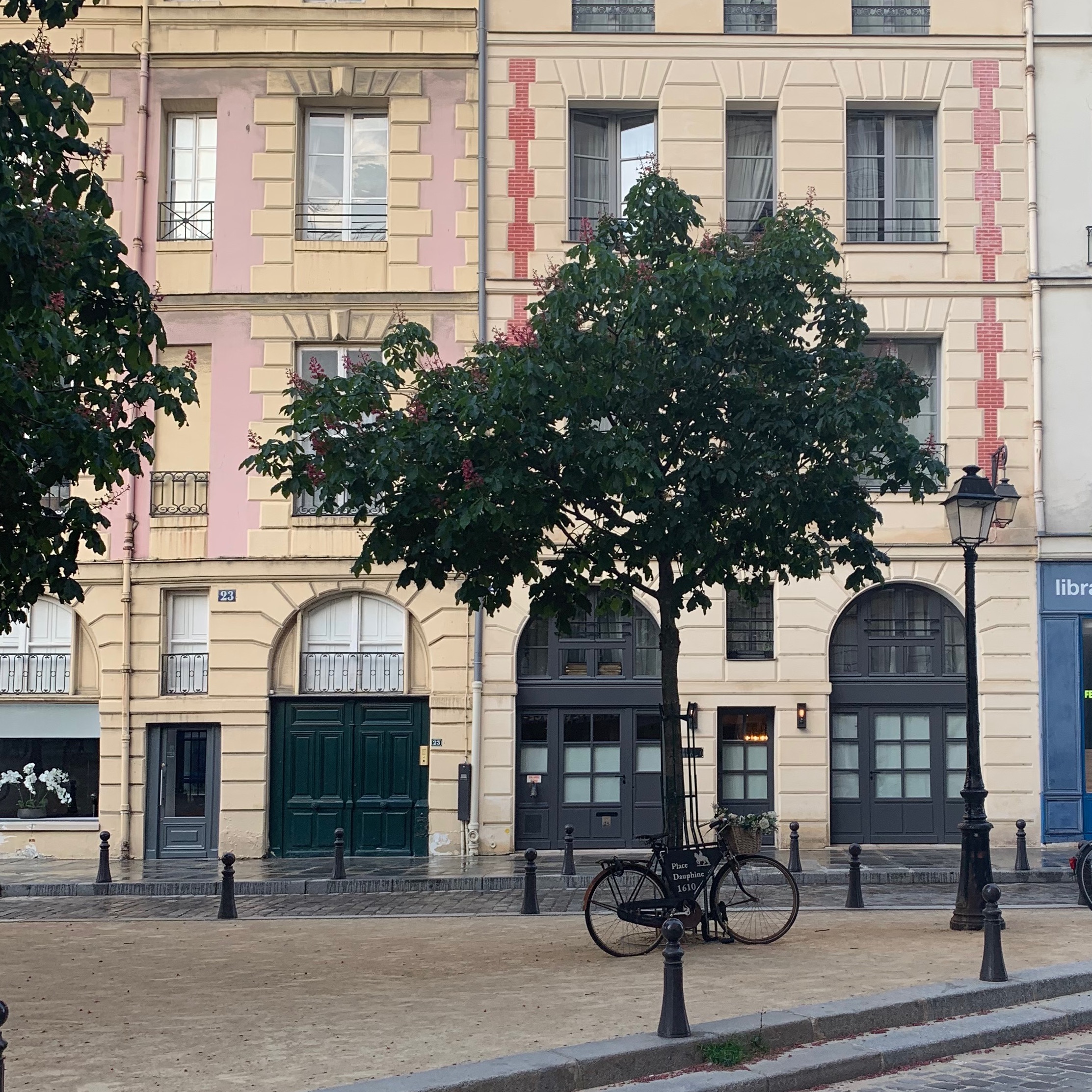 Place-Dauphine-pink
