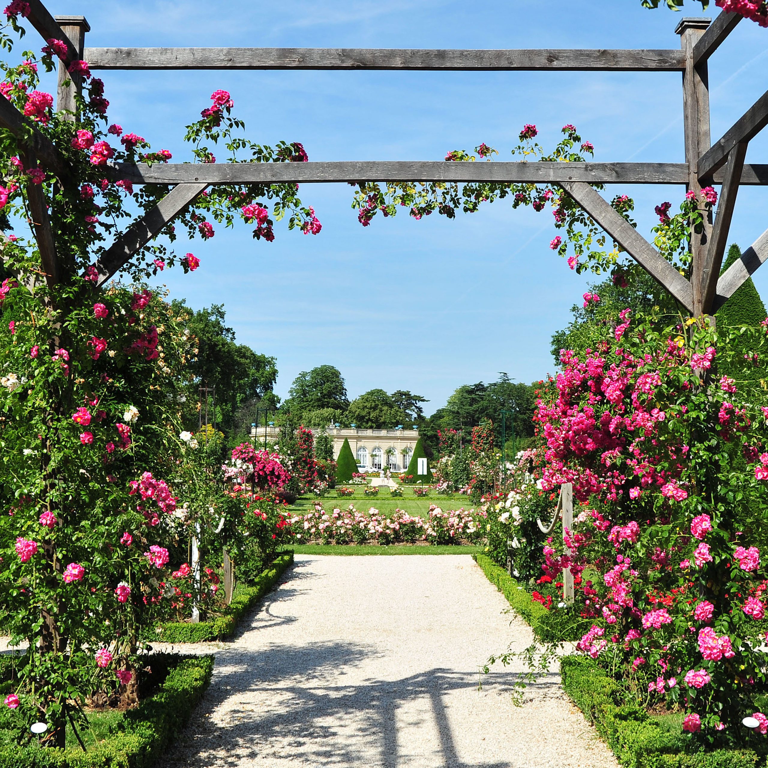 Bois de Boulogne, Parc de Bagatelle, rose garden and orangery. Bagatelle Parc, Paris, France.