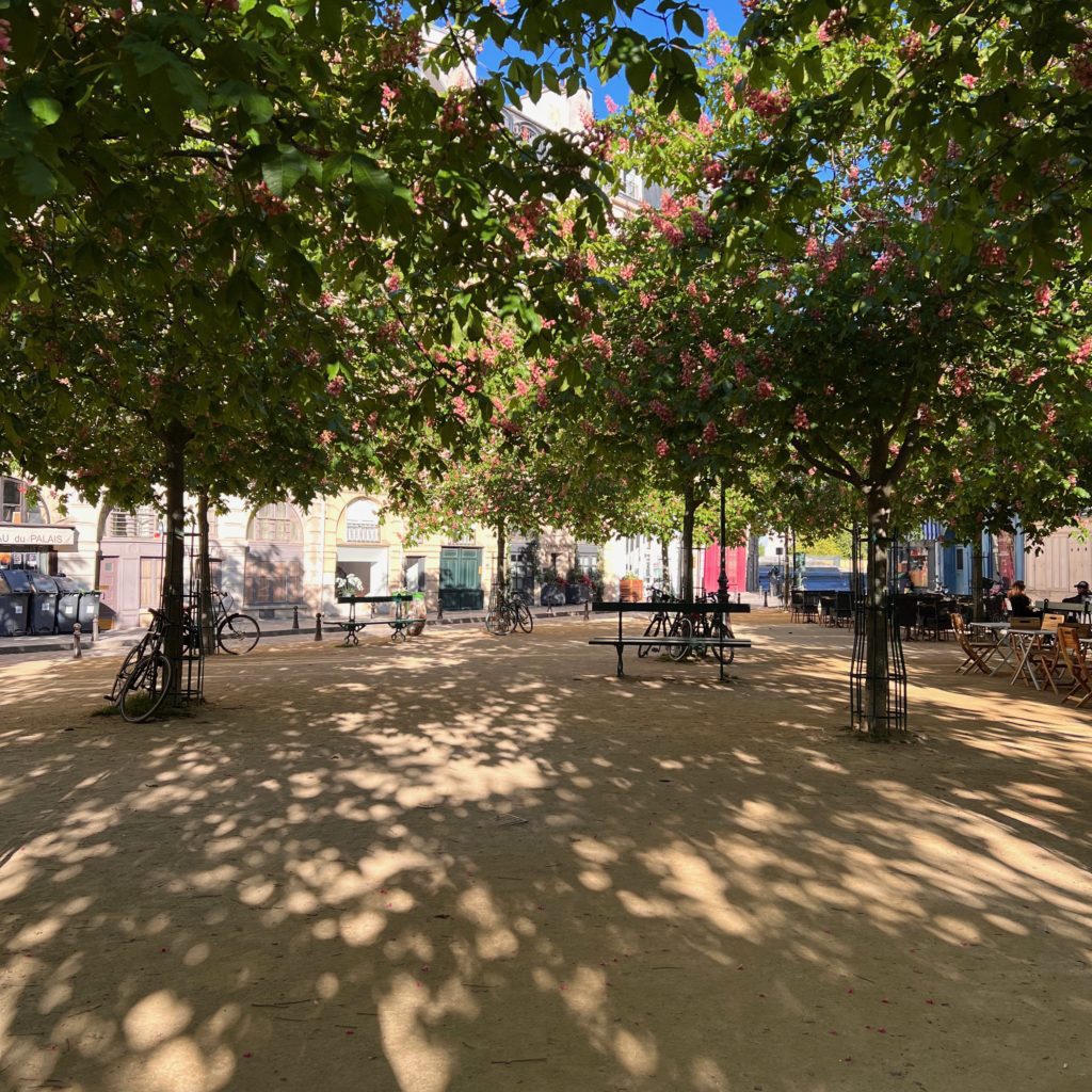 Place Dauphine history