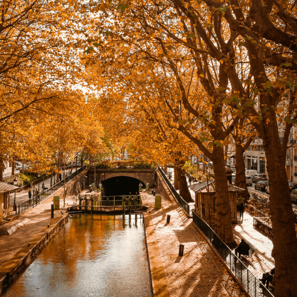 Paris autumn fall leaves