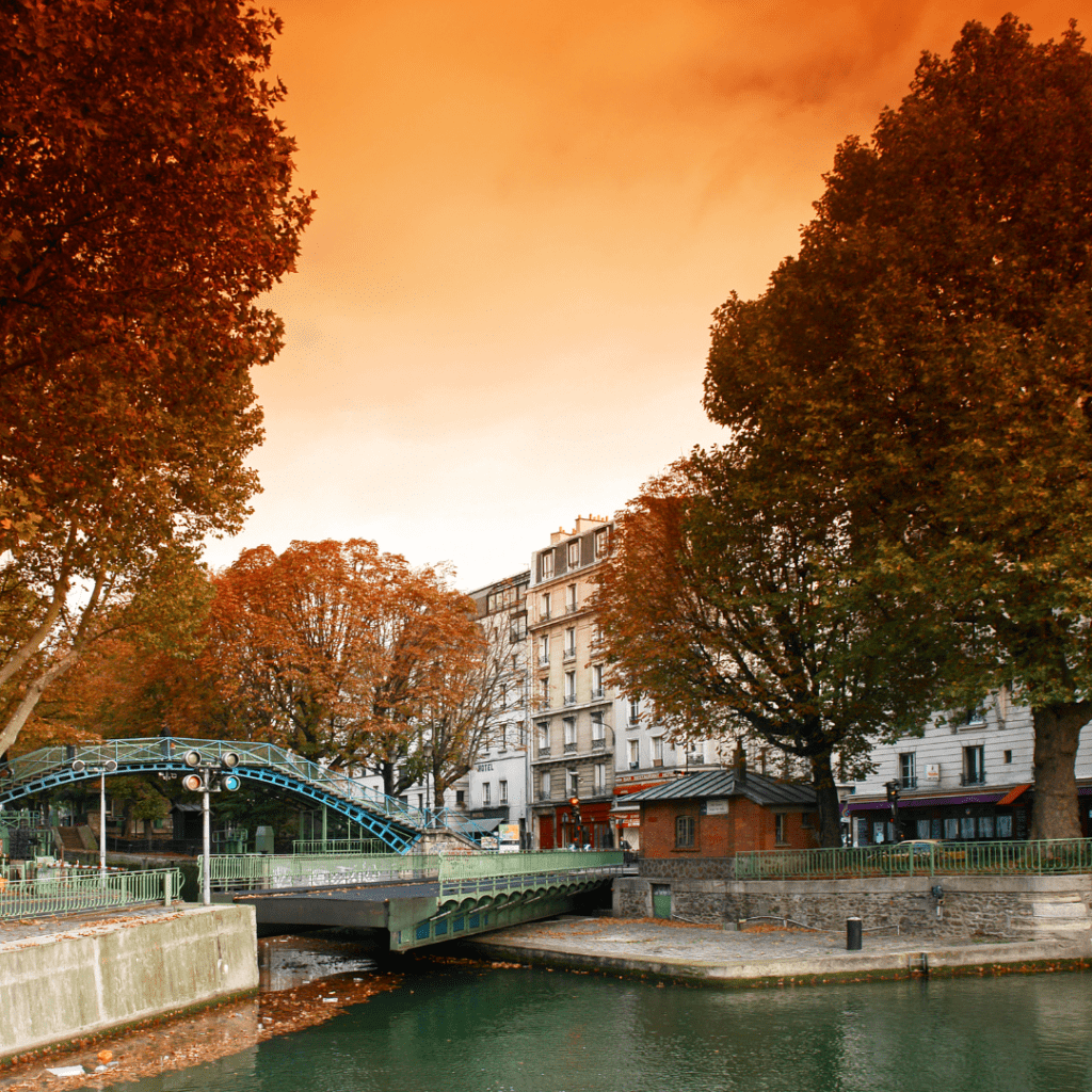 Paris autumn fall leaves