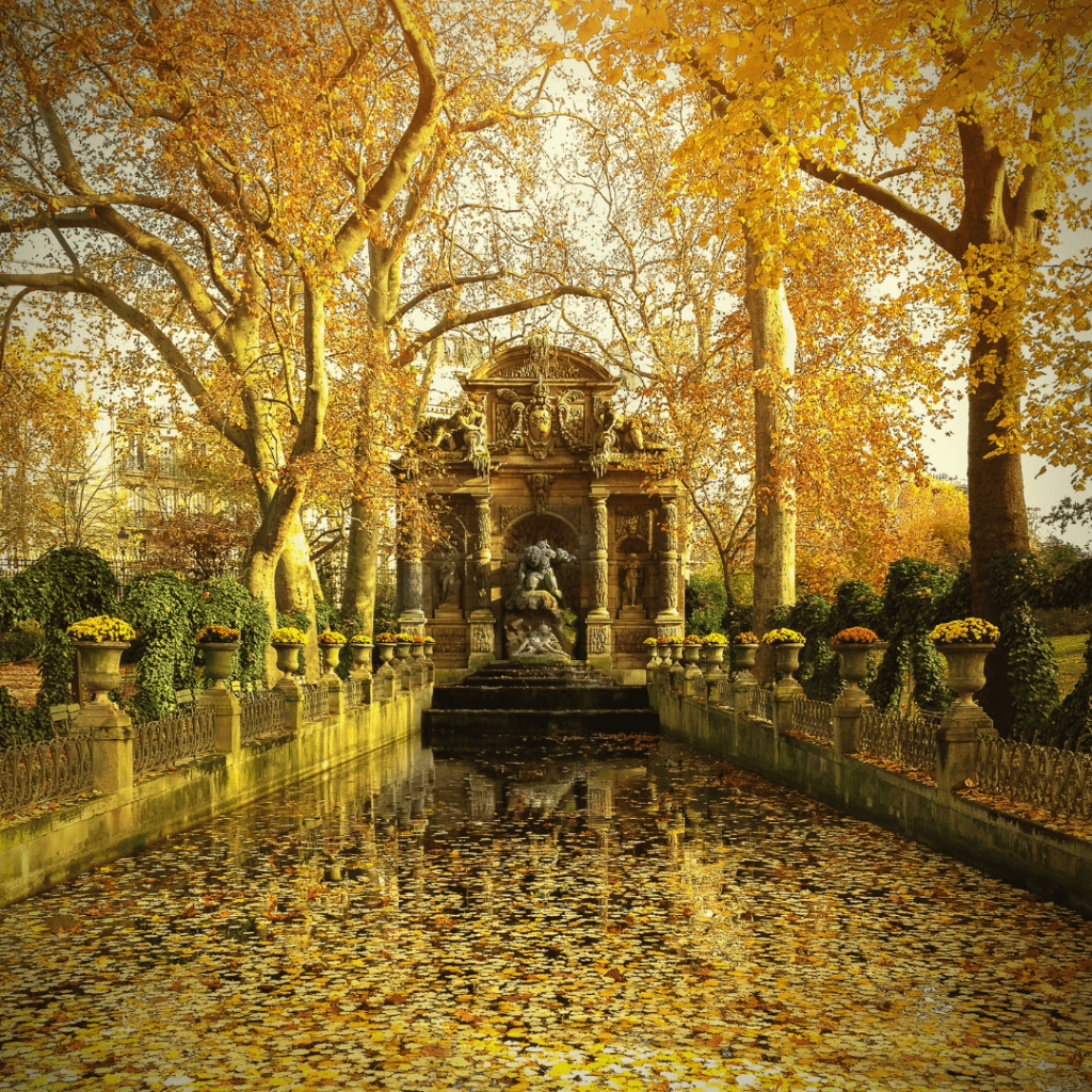 Paris autumn fall leaves