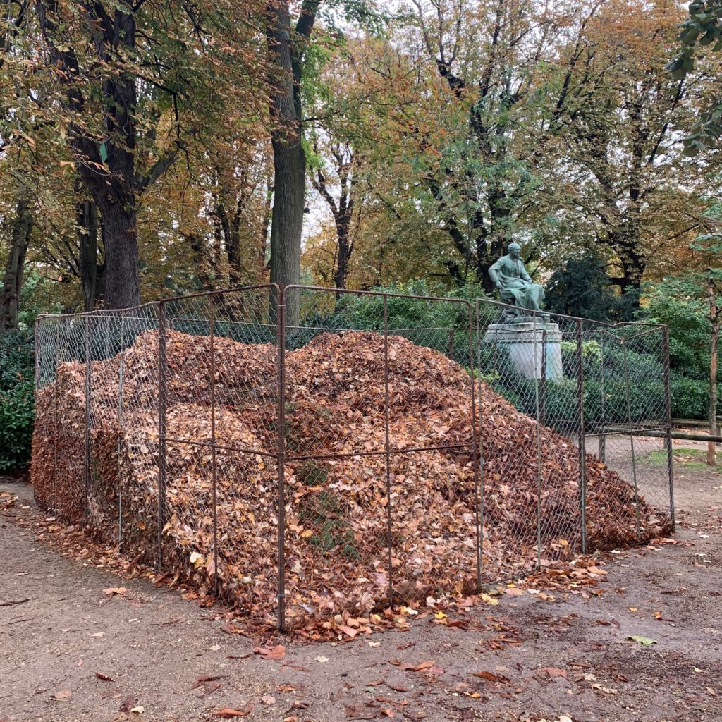 Paris autumn fall leaves