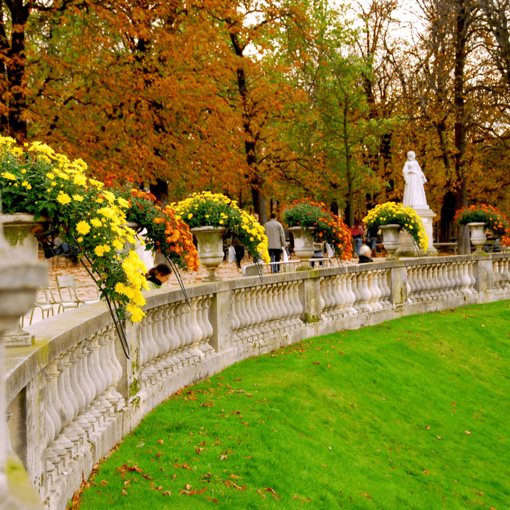 Paris autumn fall leaves