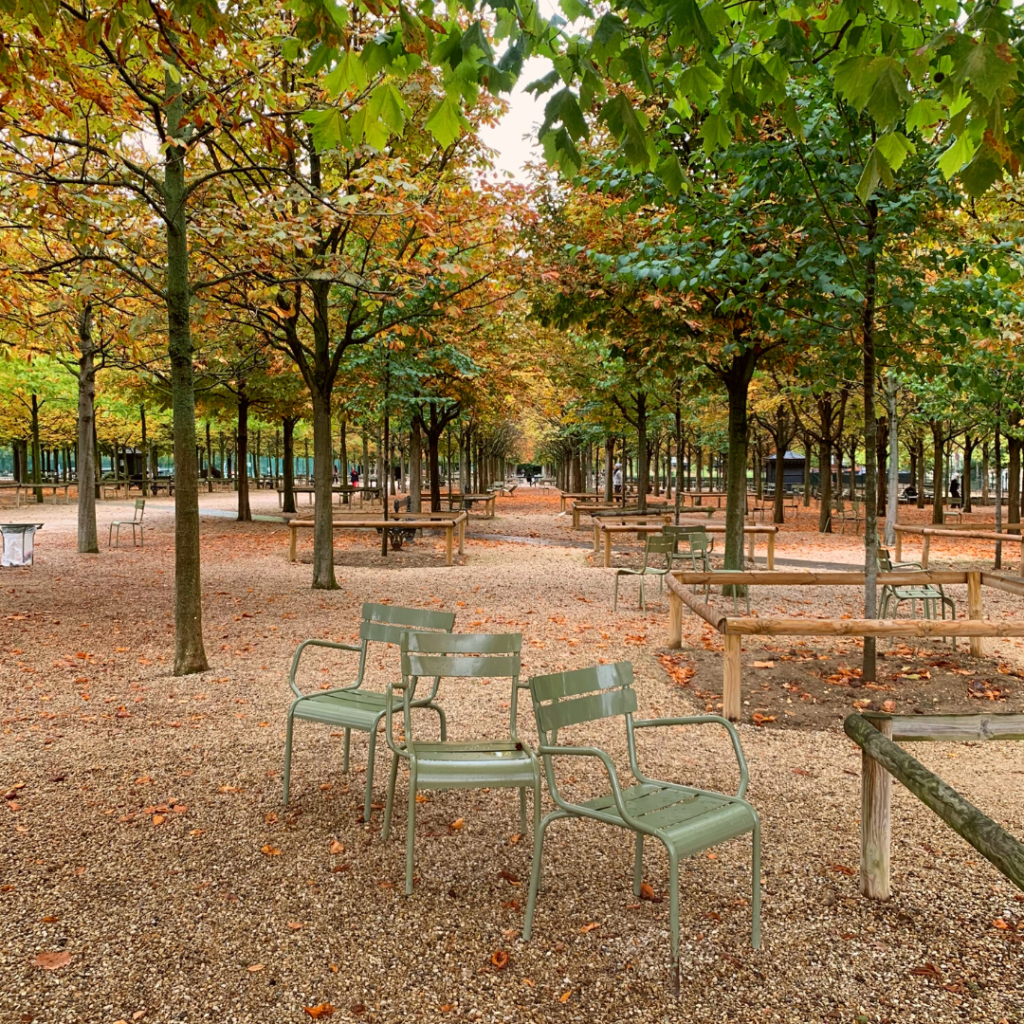 Paris autumn fall leaves