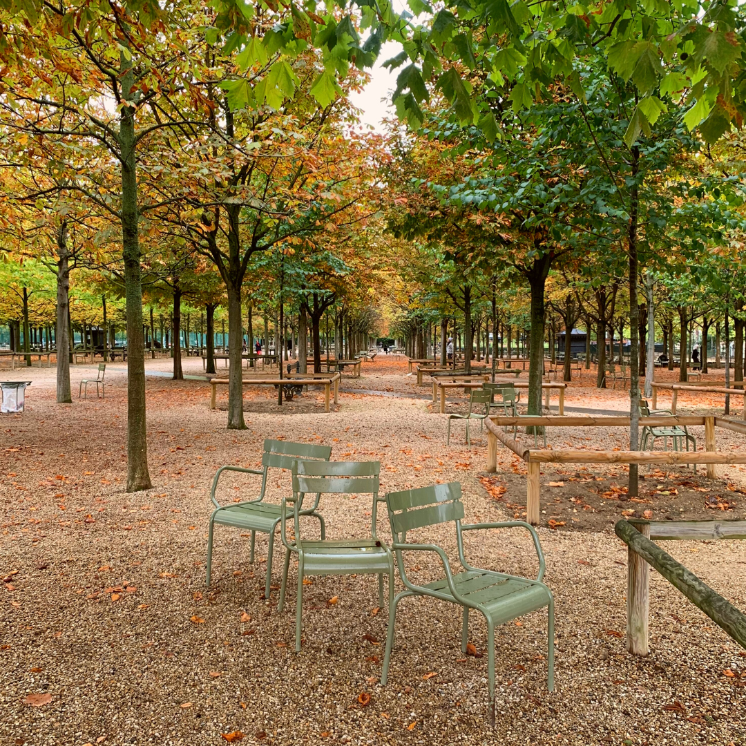 Jardin-du-Luxembourg-leaves