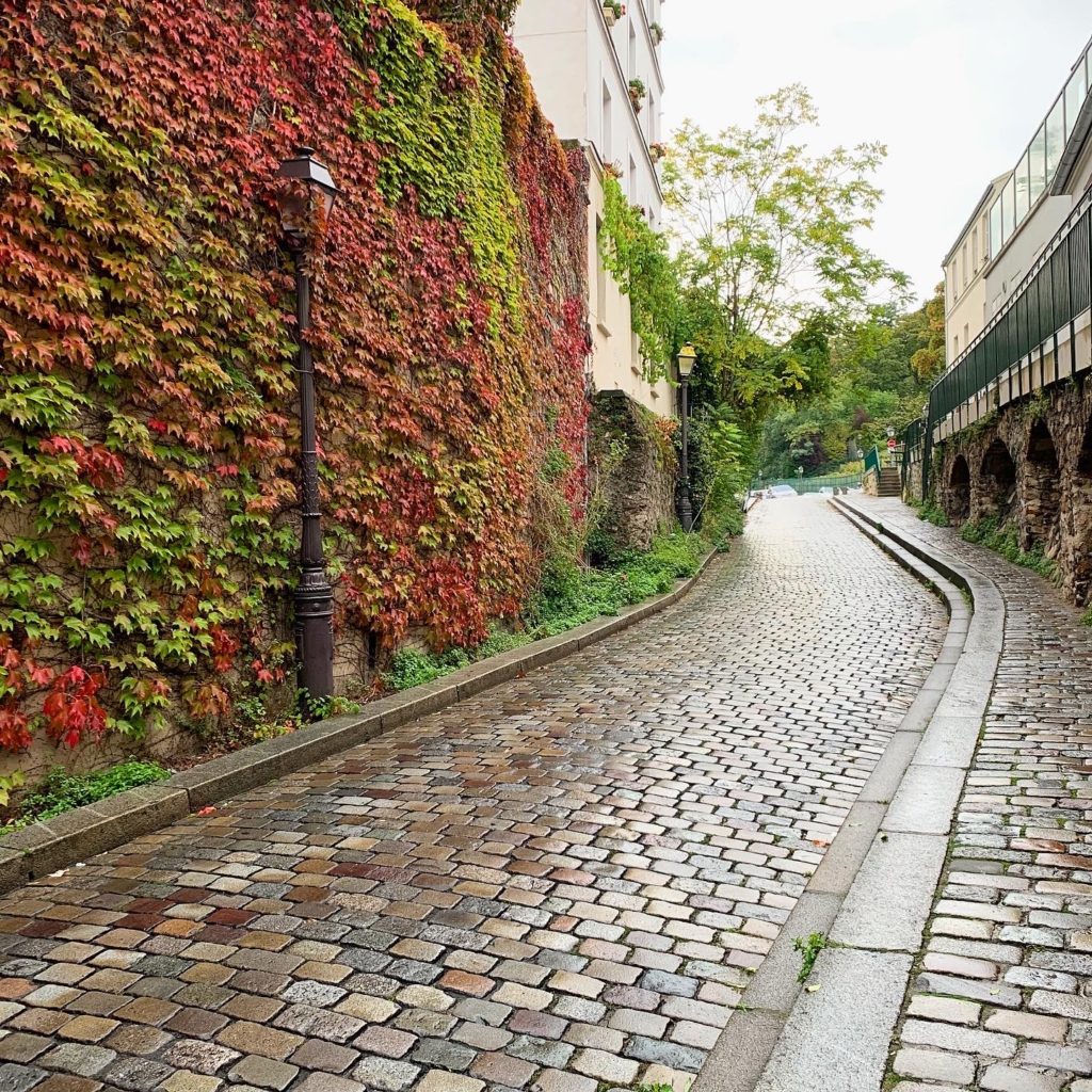 Paris autumn fall leaves