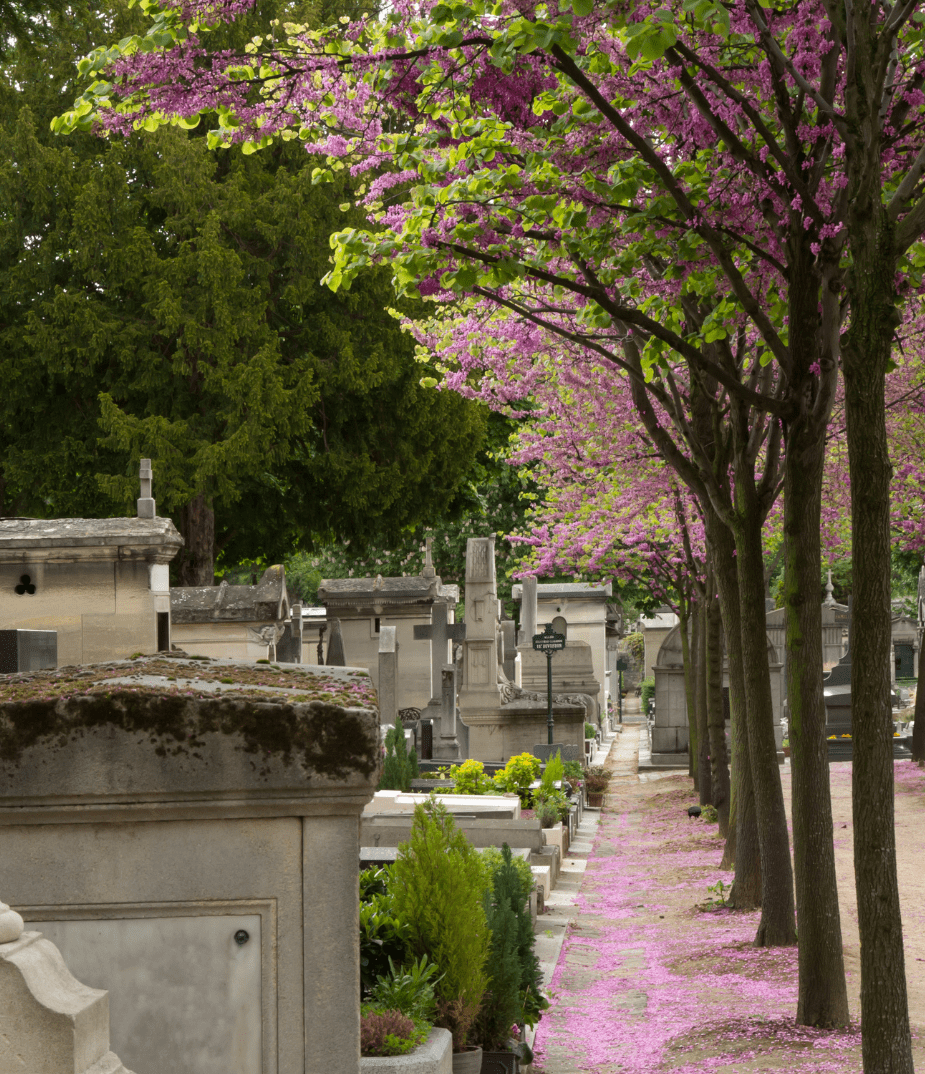 Montparnasse-Cemetery-2