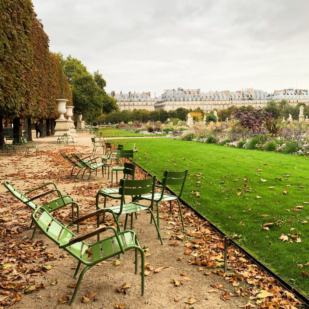 Paris autumn fall leaves