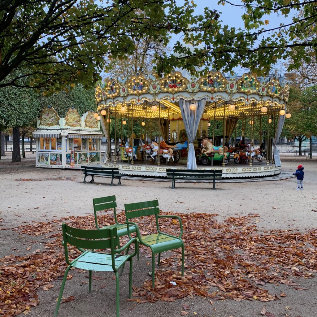 Paris autumn fall leaves