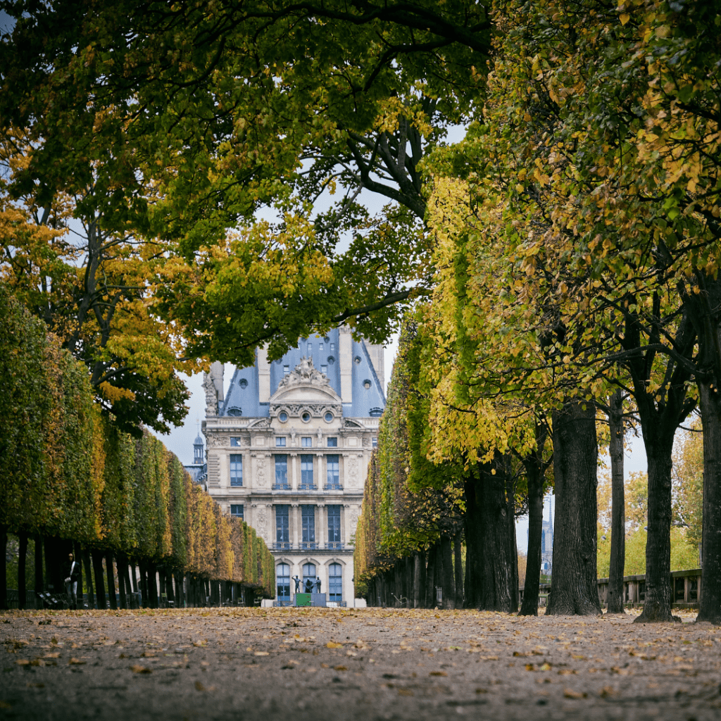 Paris autumn fall leaves