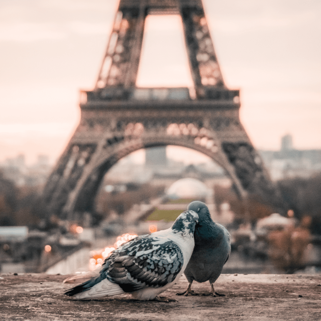 Romantic Things to Do in Paris
