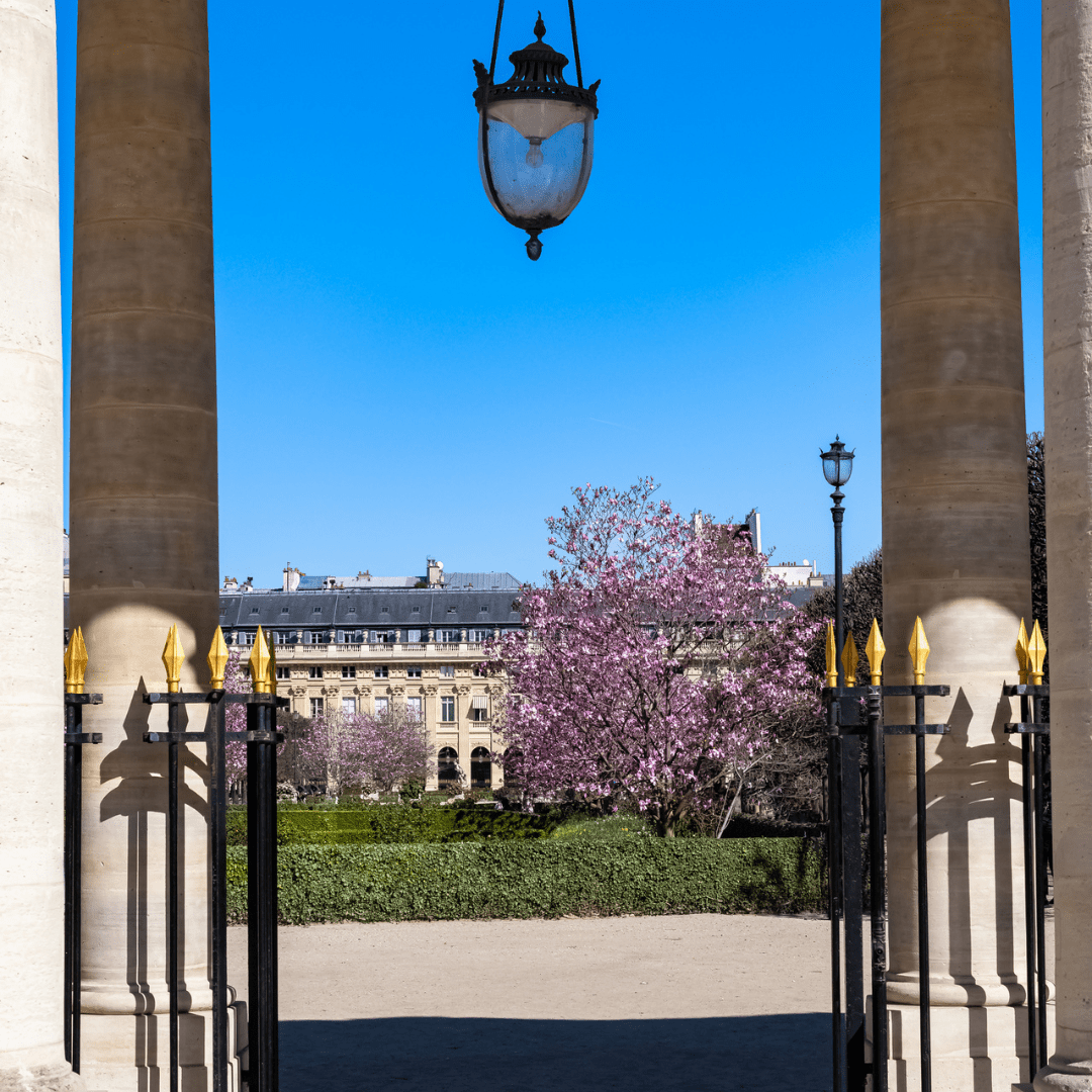Palais-Royal-Gates-Magnolia