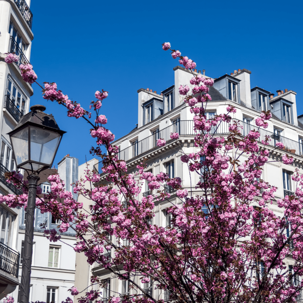 Paris Spring Perfumes