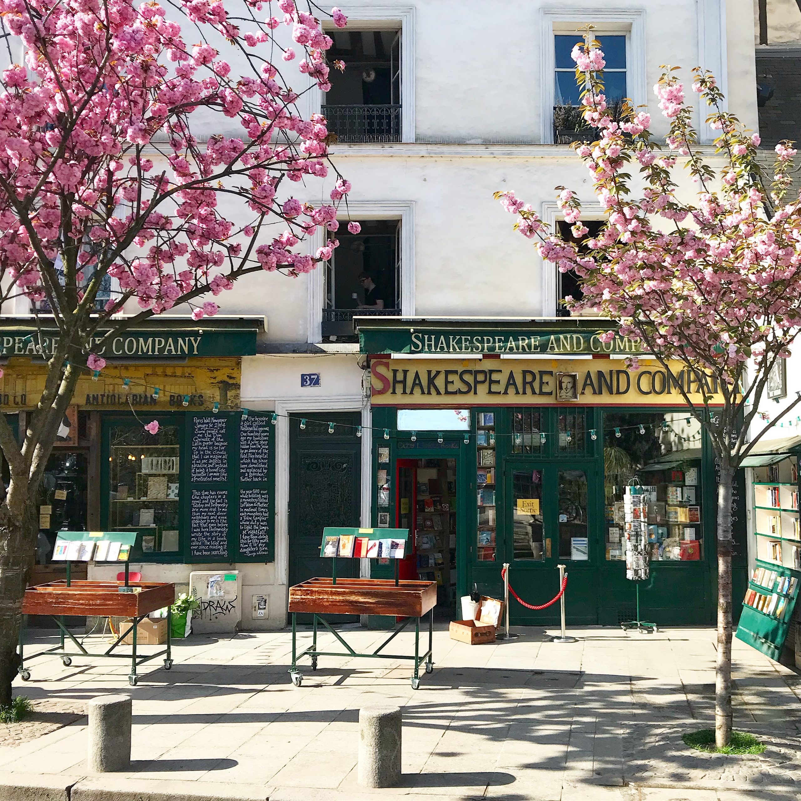 Shakespeare-and-Co-cherry-blossoms