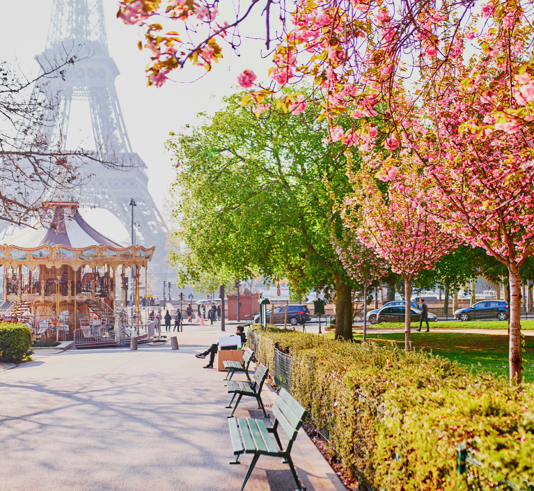 Trocadero-cherry-blossoms