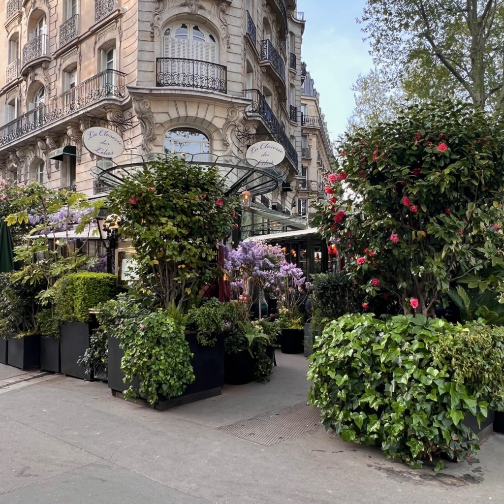 The legendary terraces of Paris