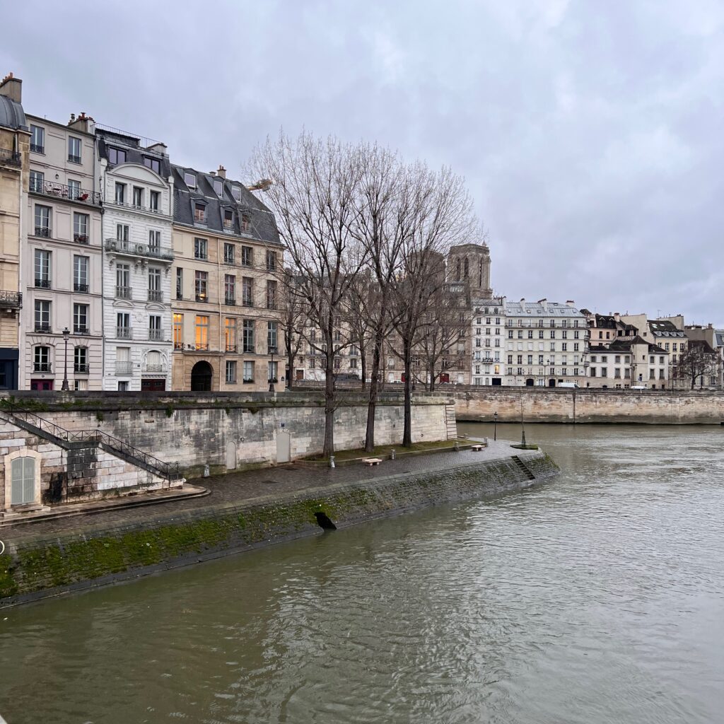 Paris in winter