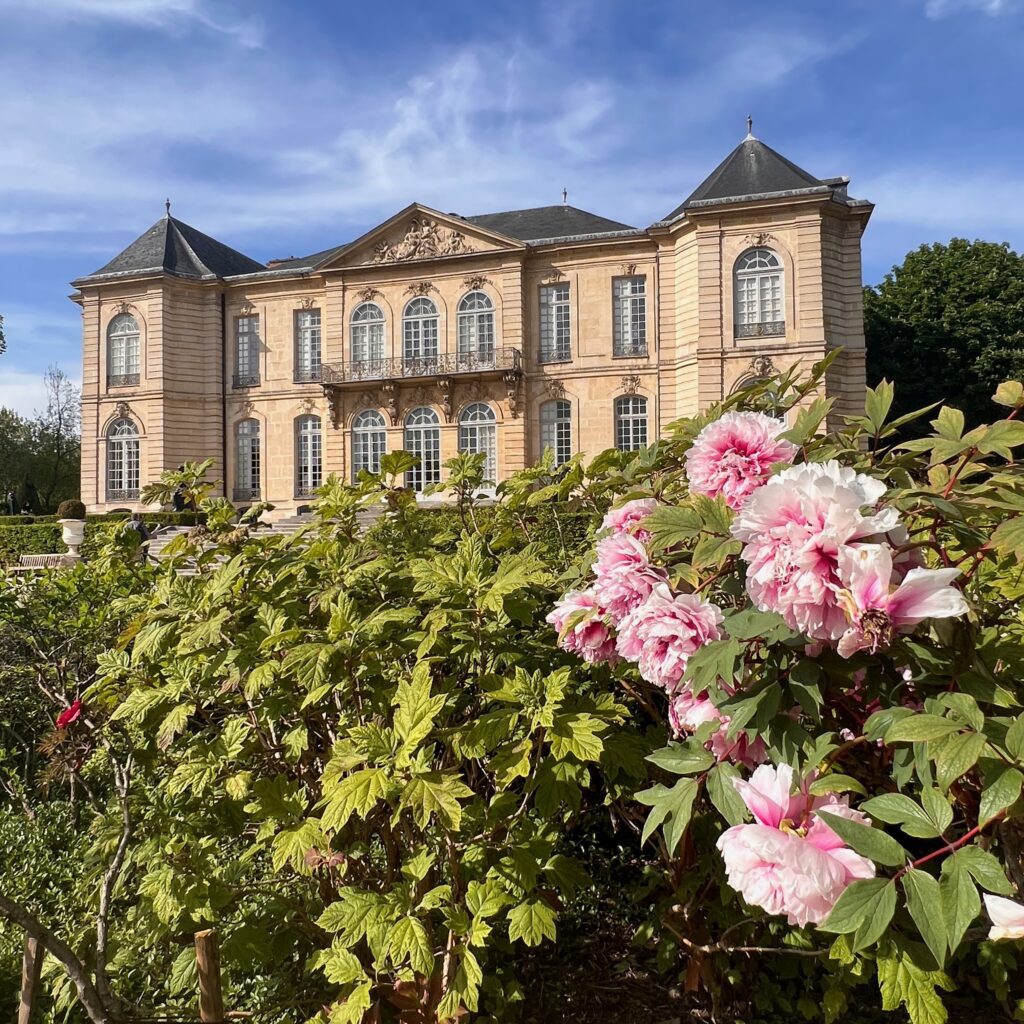 Paris peonies