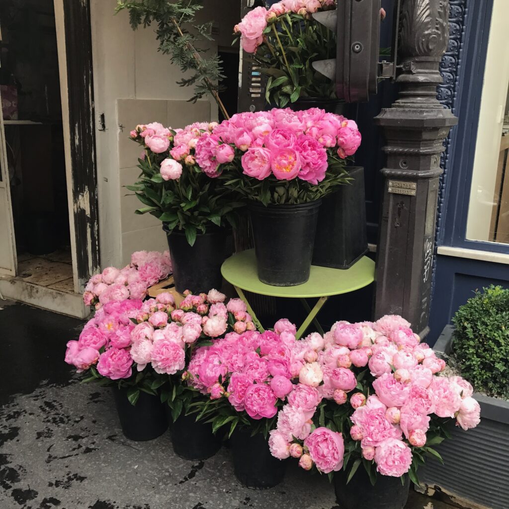 Paris peonies