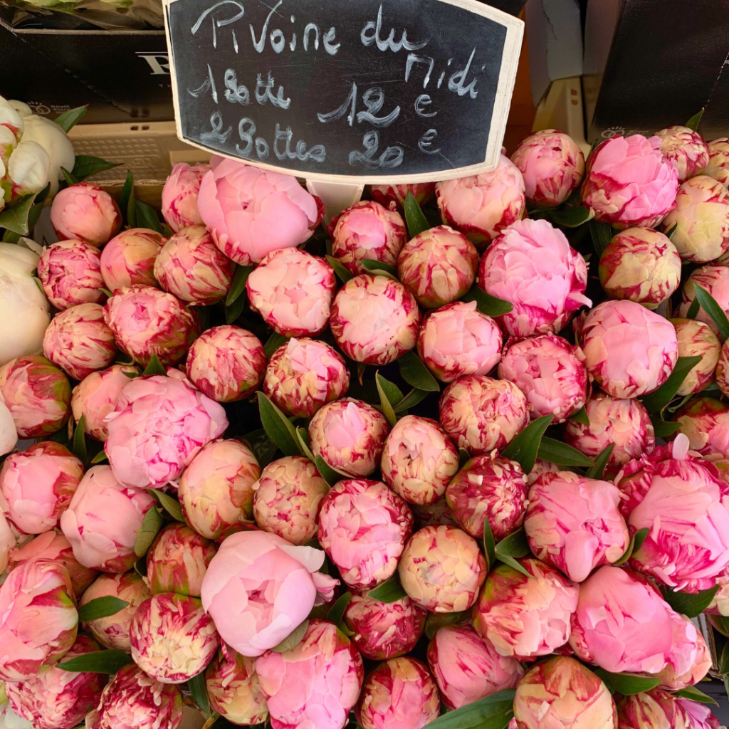 Paris peonies